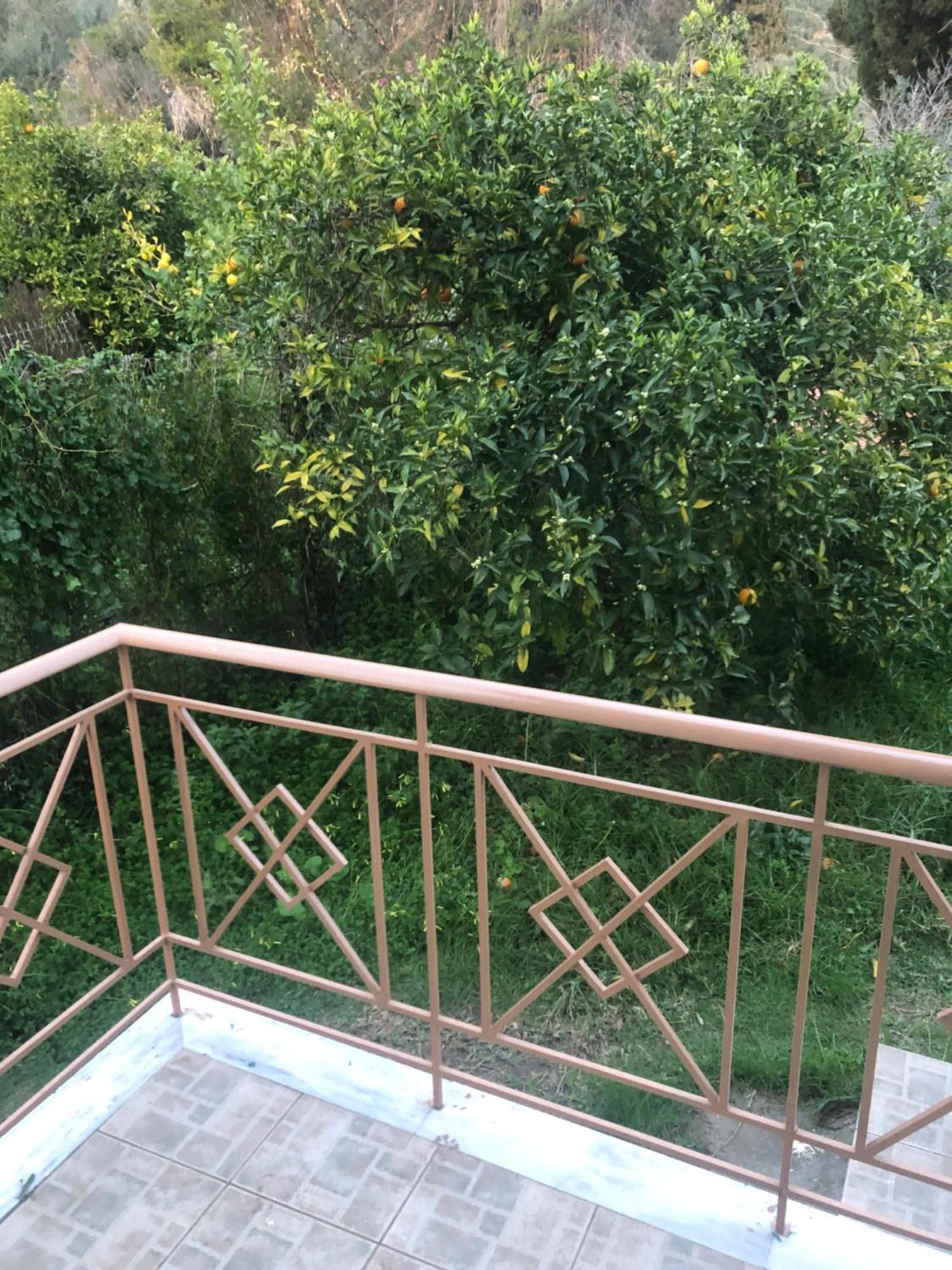 Seafront Loulas House Nearby Nafpaktos * Skaloma